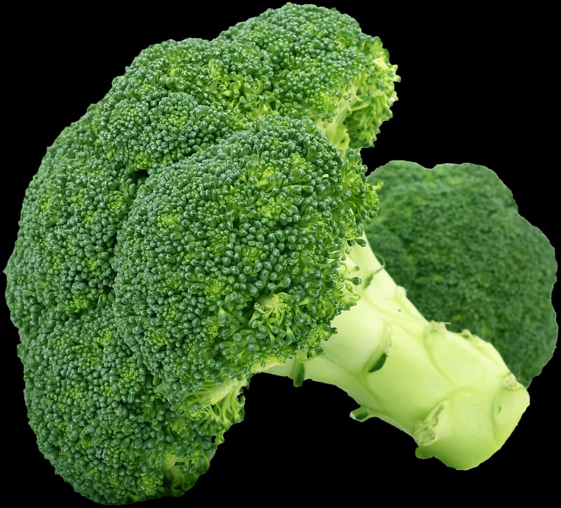 Harvested vegetables